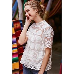 Anthropologie | Lemon Lily Lace